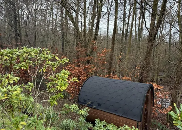 Exclusive Duplex Mansion With Sauna & Pool