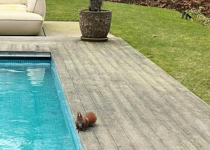 Apartamento Exclusive Duplex Mansion With Sauna & Pool