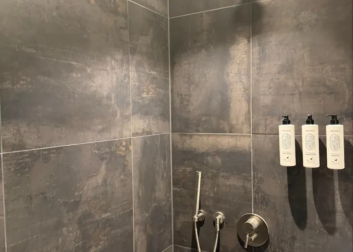 Exclusive Duplex Mansion With Sauna & Pool