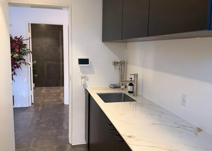 Exclusive Duplex Mansion With Sauna & Pool Apartmán Charlottenlund